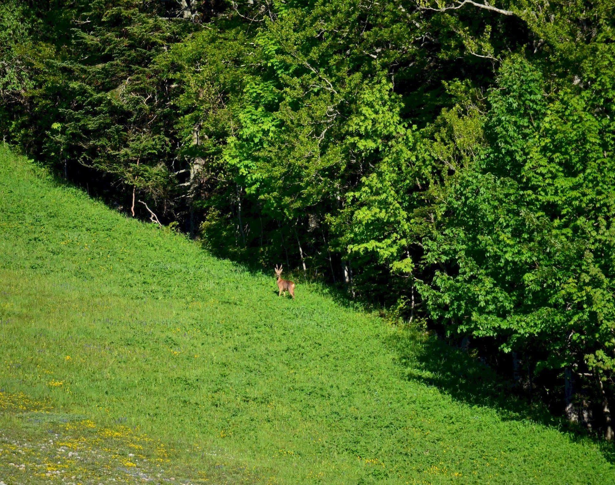 Val Lachard Villard-de-Lans Kültér fotó